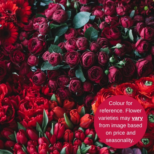Wholesalers Choice (Burgundy / Red)