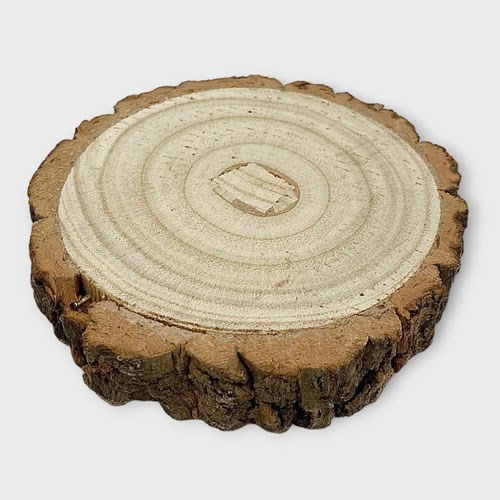 Wood Slice 11-13 x 2.5cm