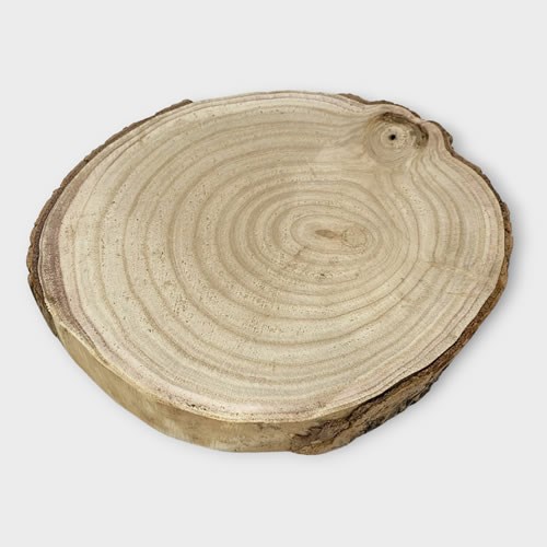 Wood Slice 14-19 x 3cm