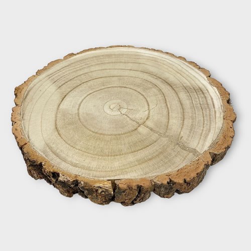 Wood Slice approx 25-30cm x 3cm 