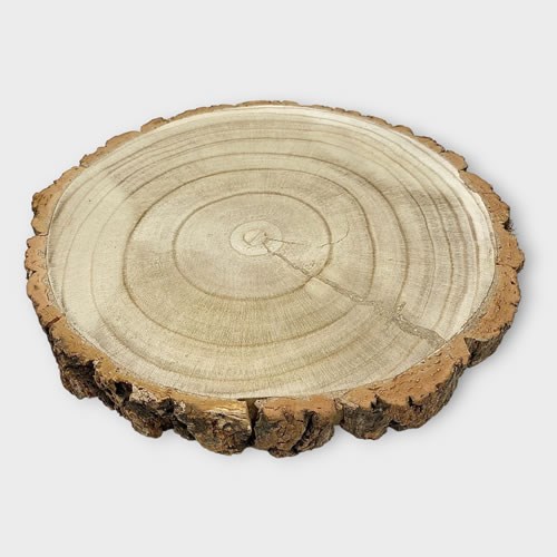 Wood Slice 31 x 3.5cm 