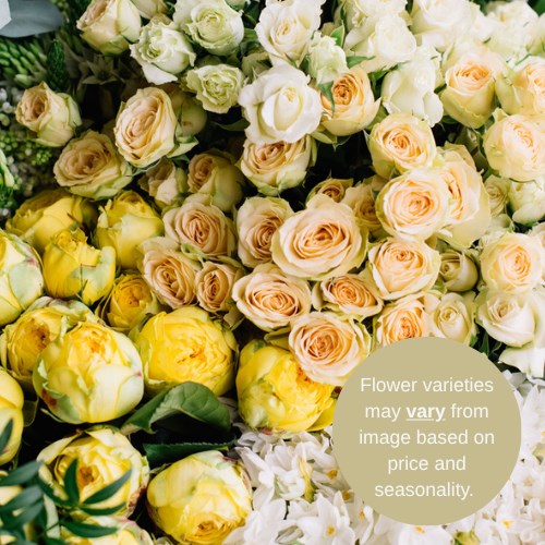 Wholesalers Choice (Cream / Yellow)