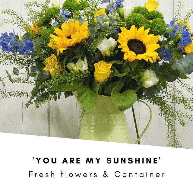 You are My Sunshine & Jug  (Cols May Vary) 