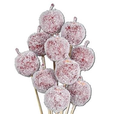 Apple Picks - Red + Snow