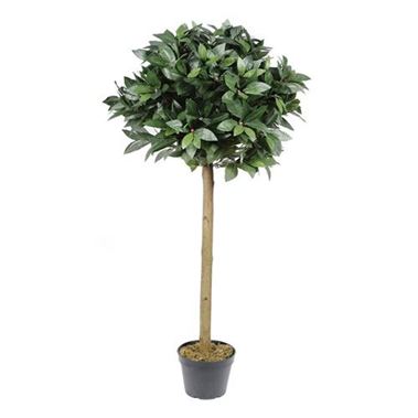 Artificial Faux Bay Tree 118cm *Only one available*