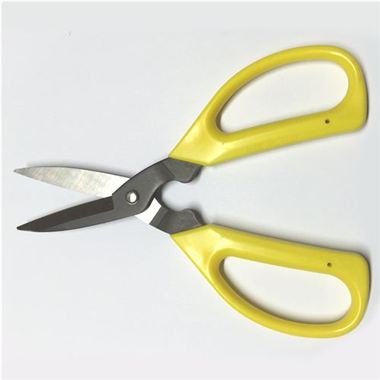 Carbon Blade Floristry Scissors