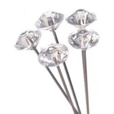 Pins - Diamante 5cm