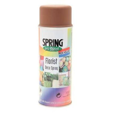 Spray Paint - Rust Brown