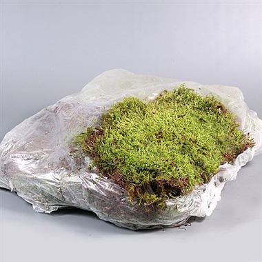 Flat Moss Super Bag