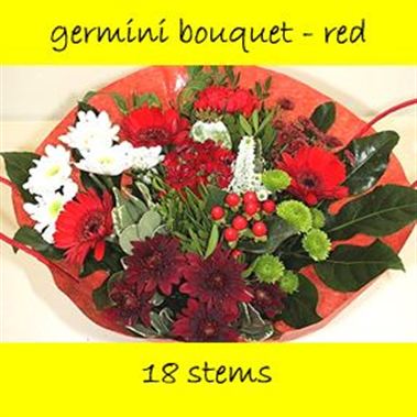 Bouquet Germini Red - 18 stems