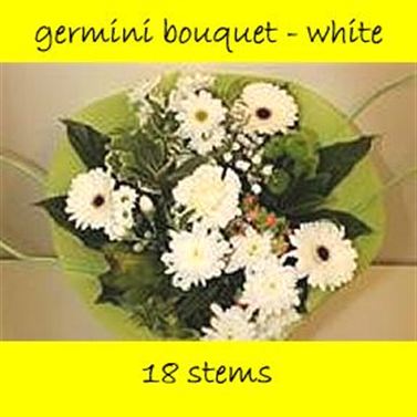 Bouquet Germini White - 18 stems