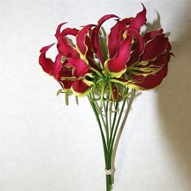 Gloriosa Red (short)