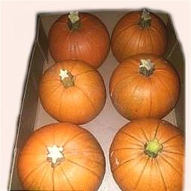 Gourd Mix (Large)