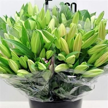 Pink Lilies - 3 stem bunches