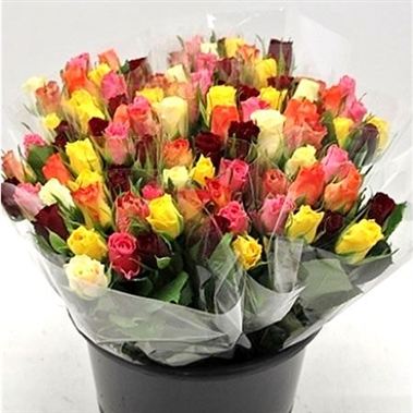 Mixed Roses - 10 stem bunches