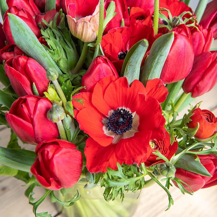 Red Spring Collection