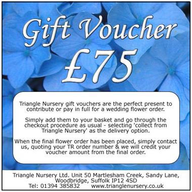 £75 Gift Voucher (ex VAT)