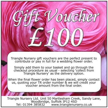 £100 Gift Voucher (ex VAT)