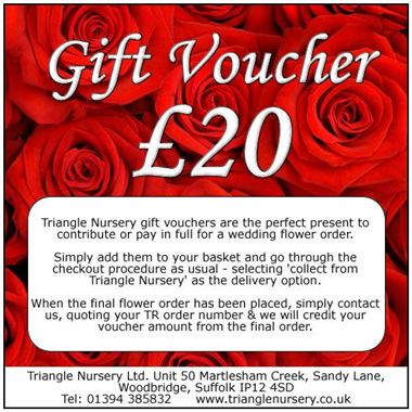 £20 Gift Voucher (ex VAT)