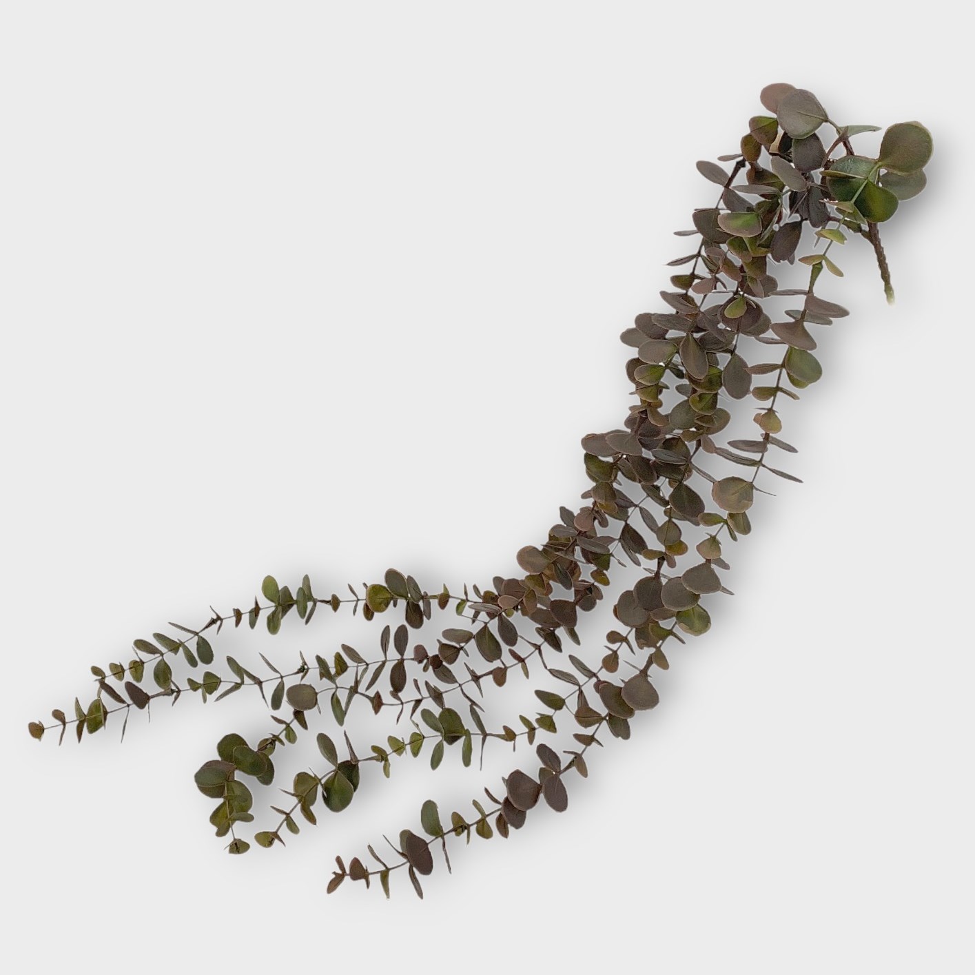 Artificial Faux Silk Flowers & Foliage UK Artificial Faux Trailing