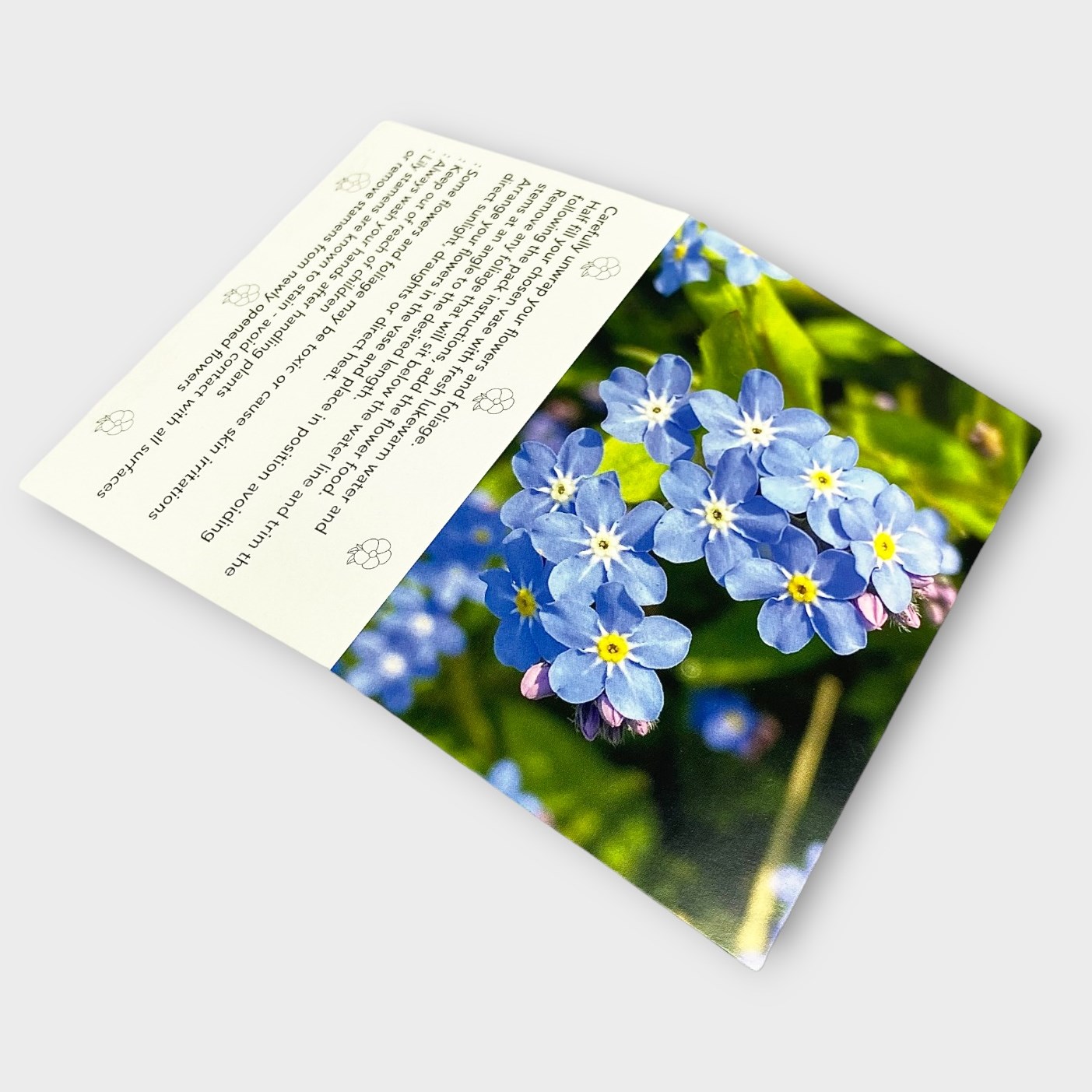 Florists Folding Message Gift Cards - Forget Me Nots | Message Cards ...