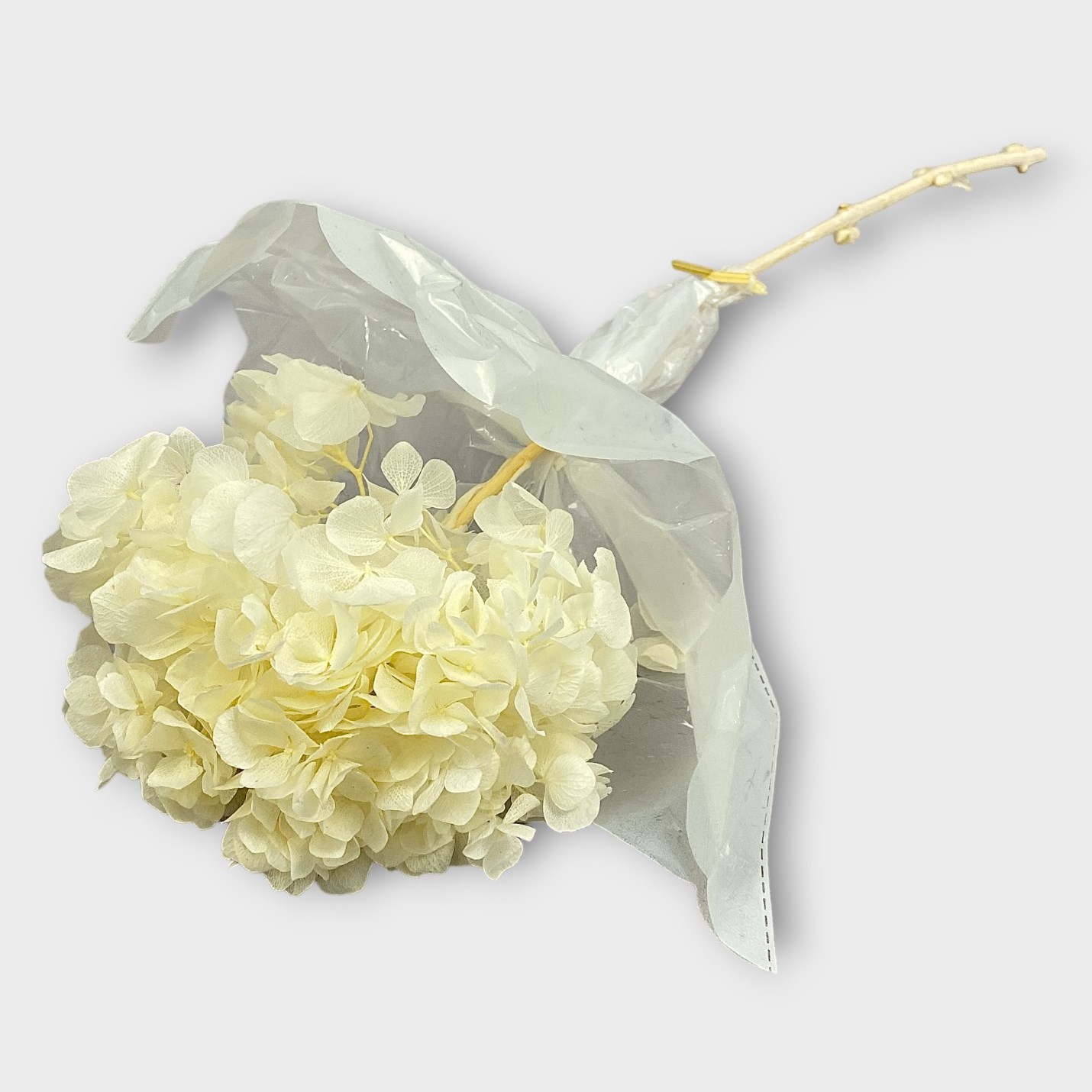 Hydrangea Preserved & Bleached (per stem) 60cm Wholesale Dried