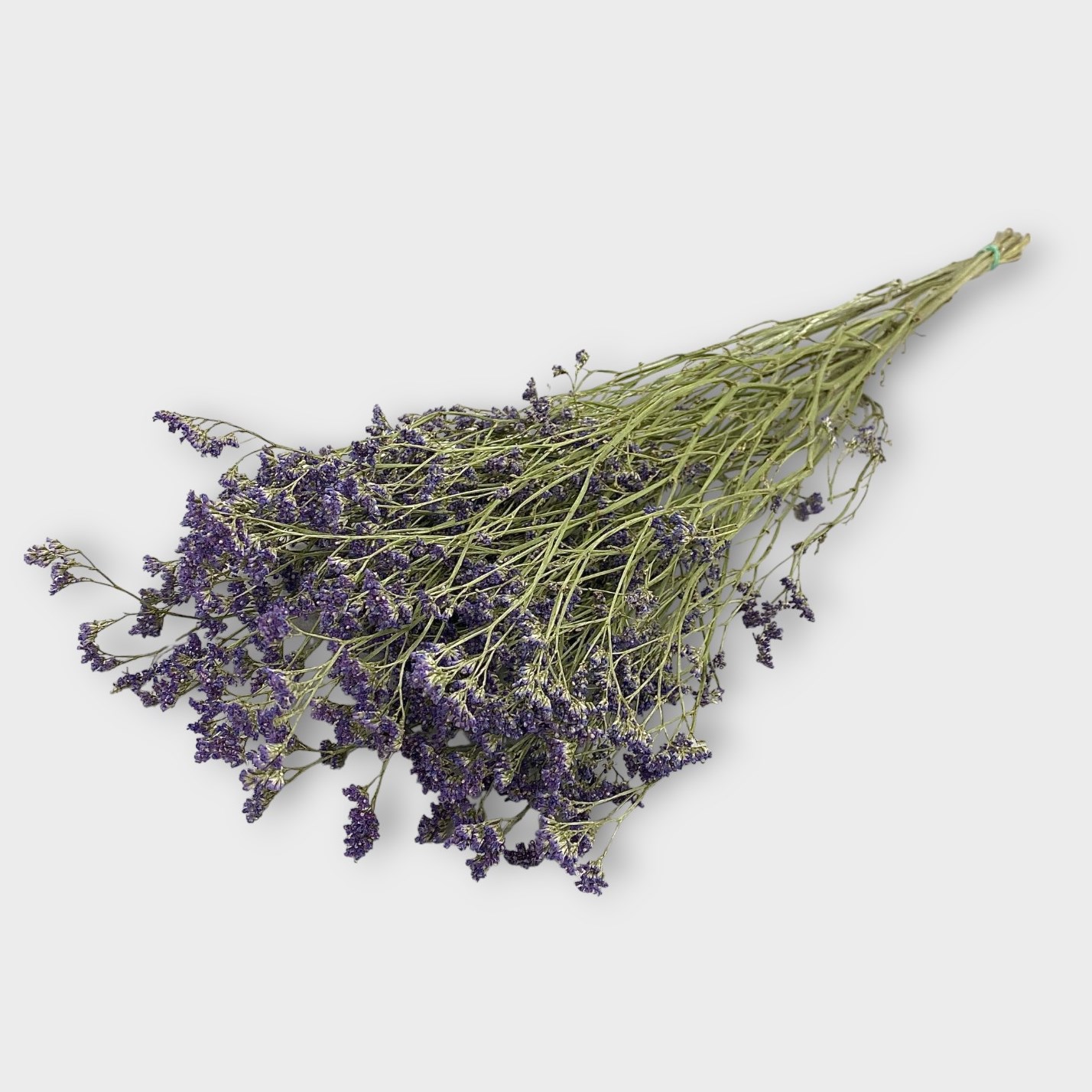 Limonium Purple (Dried) 60cm Dried Flowers Wholesale UK Florist