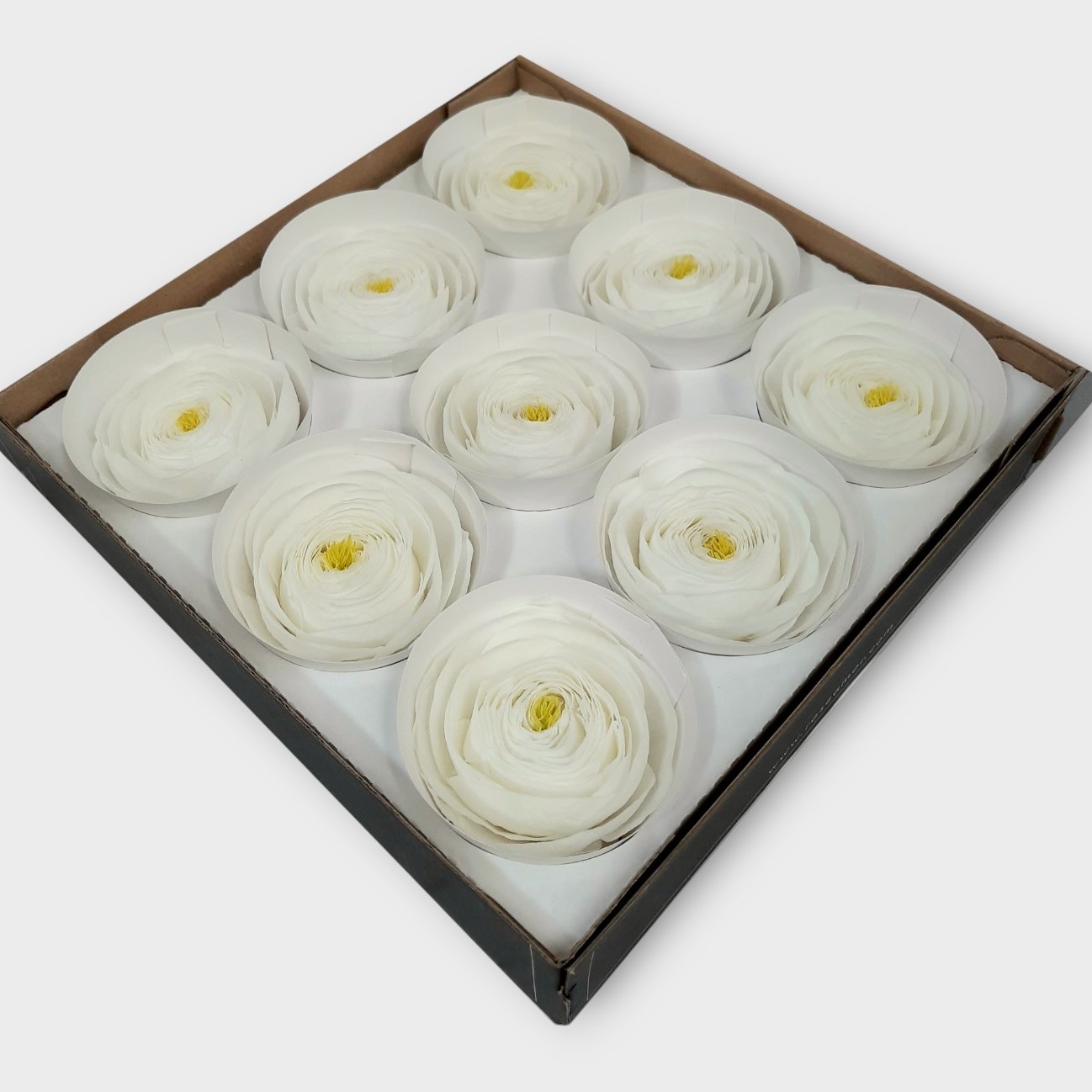 Preserved Ranunculus Preserved Ranunculus White | Preserved Rose Heads UK | Dried Flowers