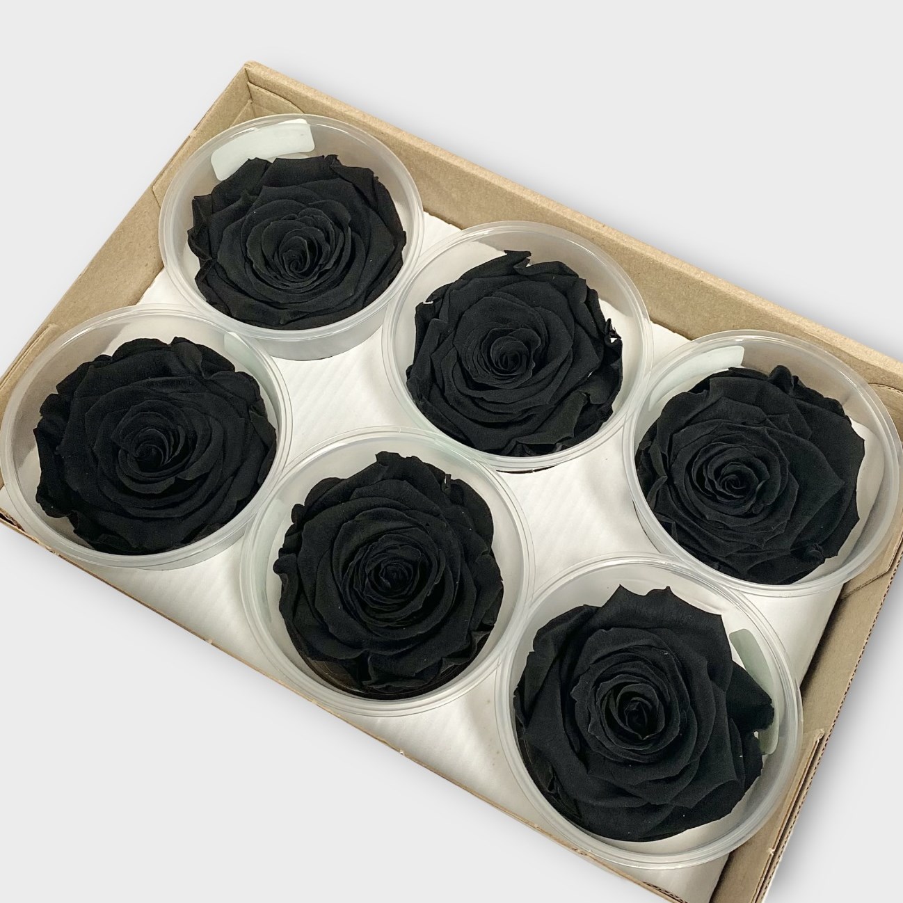 Dried Roses Preserved Roses Luxury One Year Preserved Roses Black XL | Preserved Rose Heads UK ...