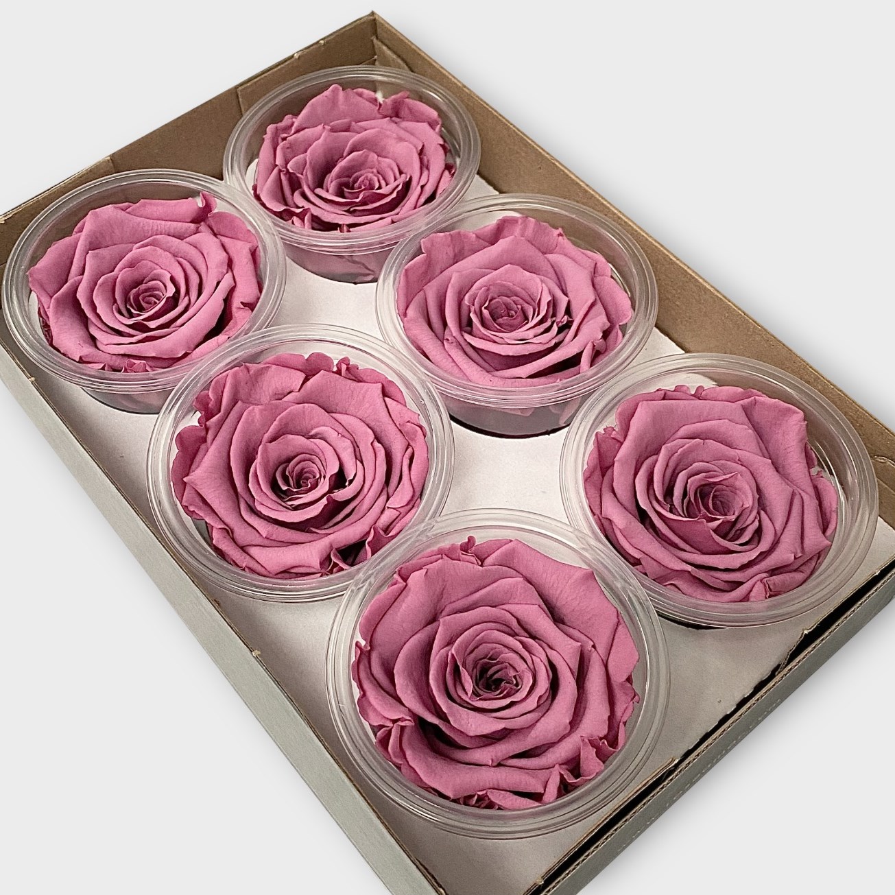 Luxury One Year Preserved Roses Dark Pink | Preserved Rose Heads UK ...