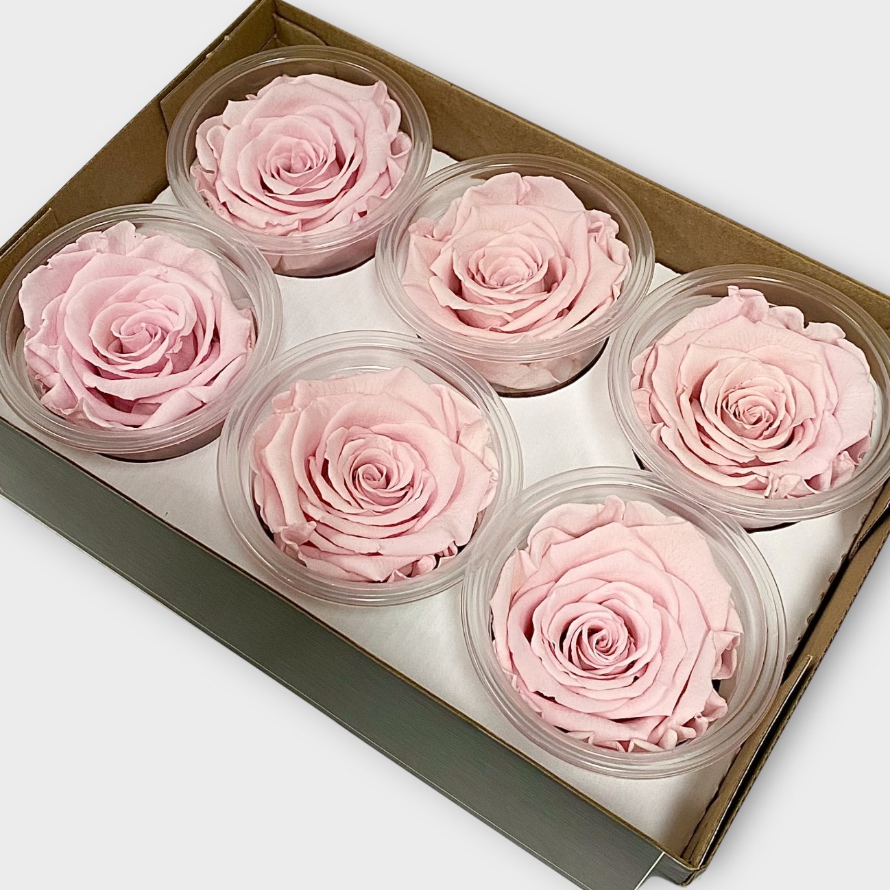 Luxury One Year Preserved Roses Light Pink | Preserved Rose Heads UK ...