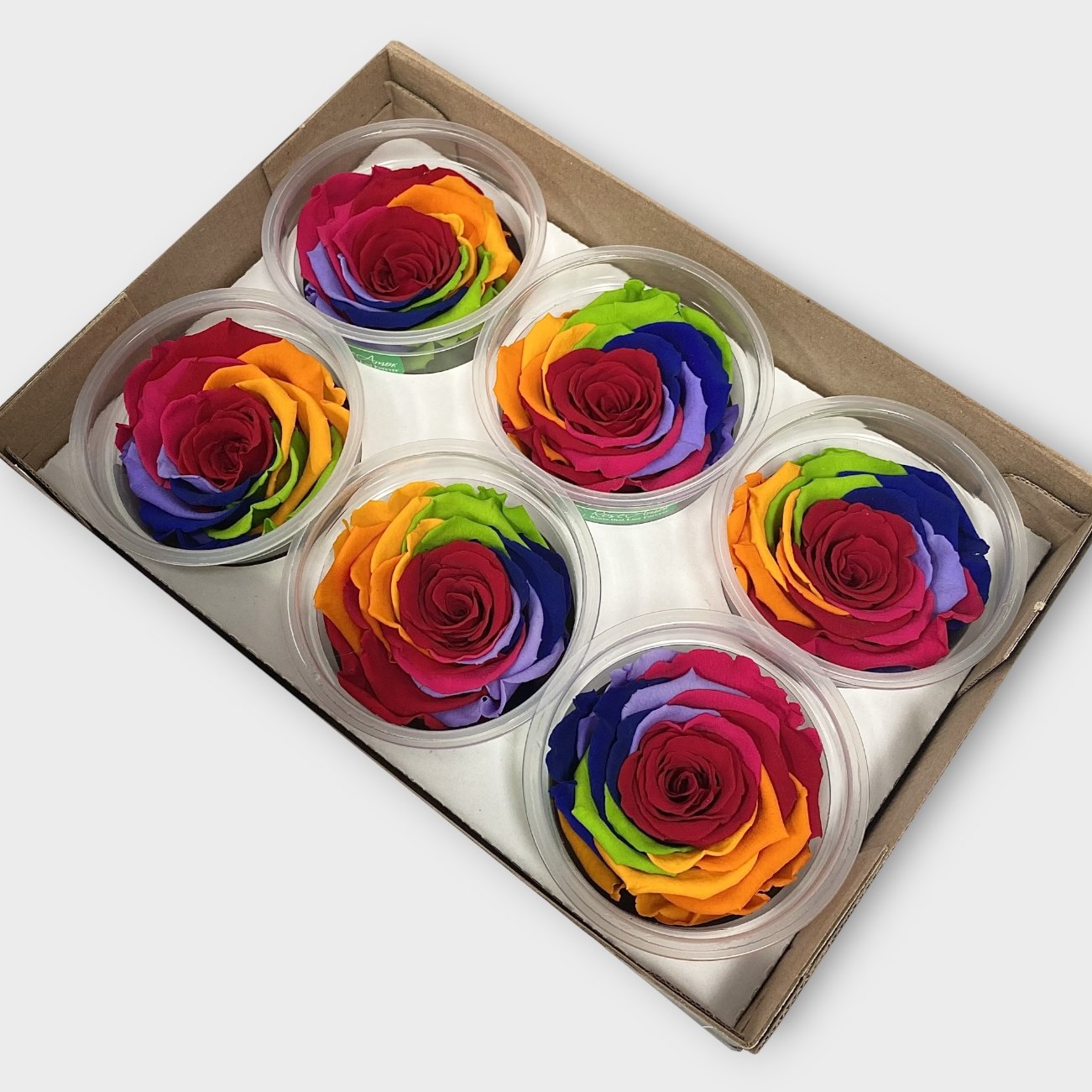 Luxury One Year Preserved Roses Rainbow XL Preserved Rose Heads UK