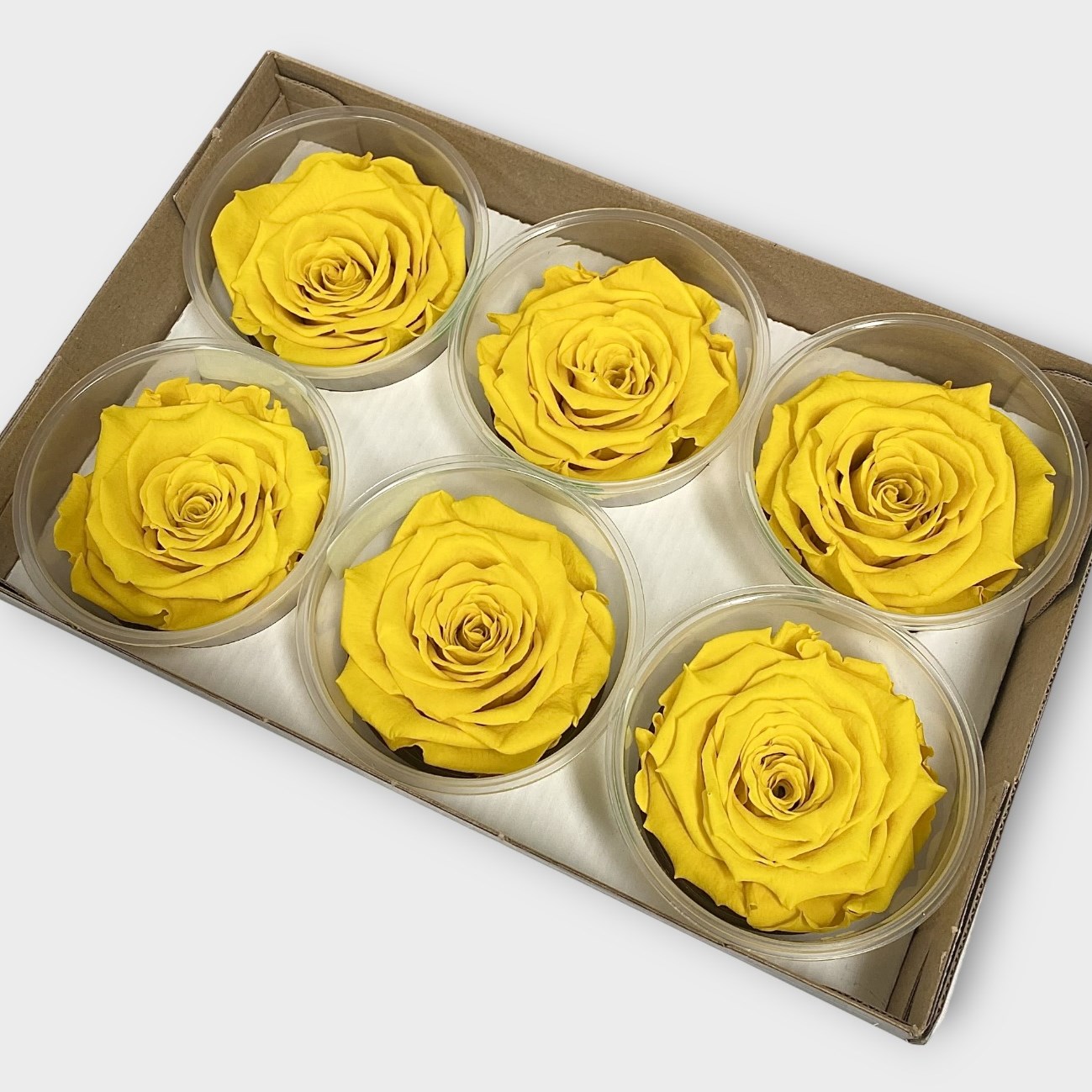 Luxury One Year Preserved Roses Yellow L+ Preserved Rose Heads UK