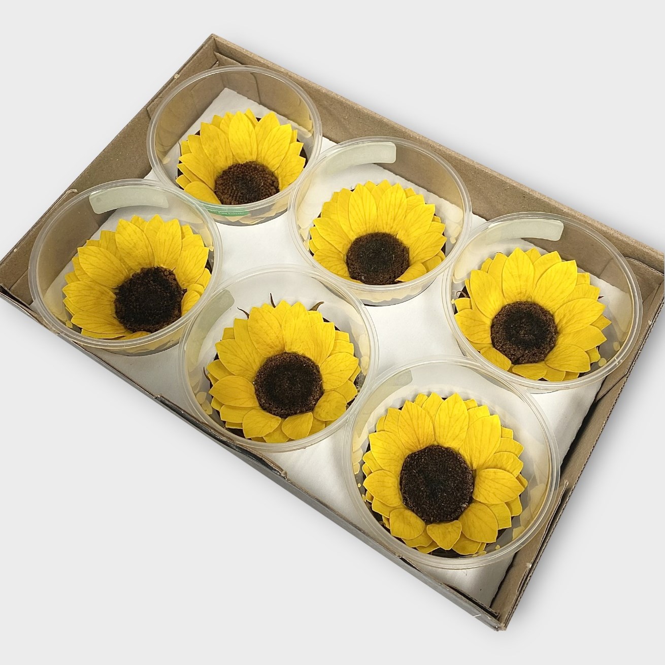 Preserved sunflower deals